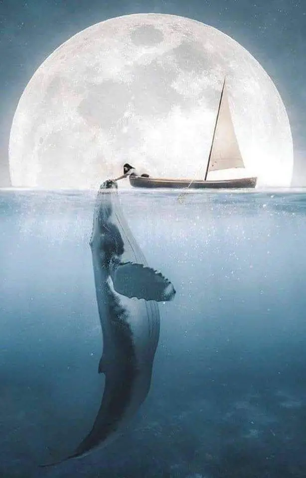 Унжалы